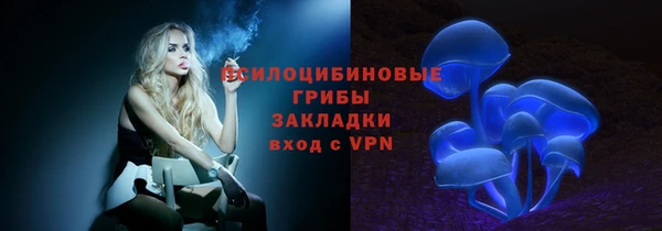 бошки Горняк