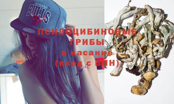 a pvp Горнозаводск