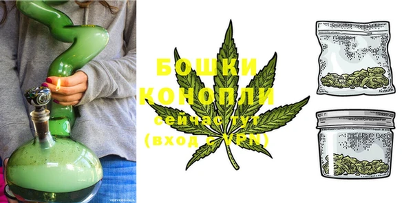 бошки Горняк
